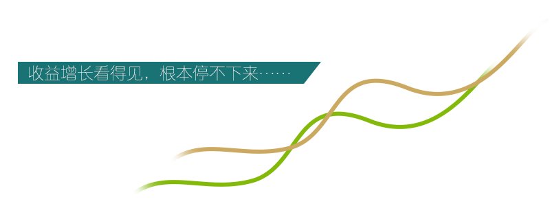 打造多元品牌矩阵